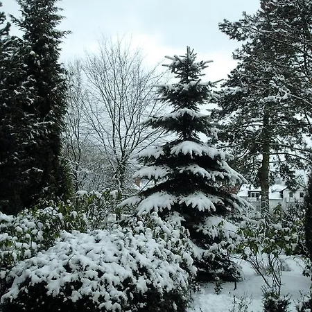 Hotel Villa Luise 3*