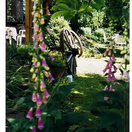 Hotel Villa Luise Bad Rothenfelde