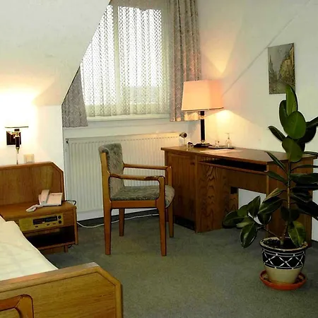Hotel Villa Luise 3*